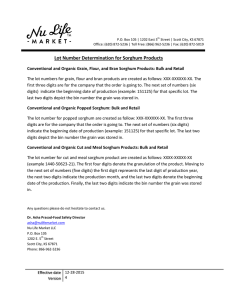 Lot Number Determination for Sorghum Products