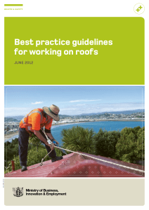 Best practice guidelines for working on roofs