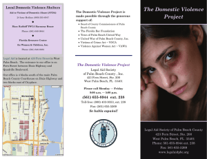 The Domestic Violence Project