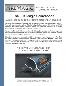The Fire Magic Sourcebook