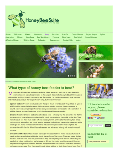 What type of honey bee feeder is best?