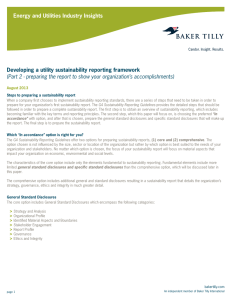 Developing a utility sustainability report framework part 2