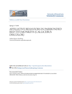affiliative behaviors in pairbonded red titi monkeys (callicebus