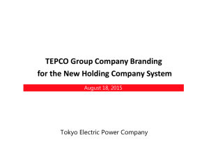 TEPCO Group Company Branding for the New Holding
