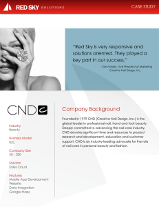Company Background - Red Sky Solutions