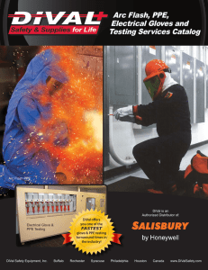 Arc Flash, PPE, Electrical Gloves and Testing Services Catalog