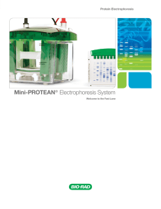 Mini-PROTEAN® Electrophoresis System - Bio-Rad