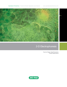 2-D Electrophoresis - Bio-Rad