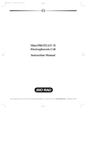 Mini-PROTEAN® II Electrophoresis Cell Instruction Manual