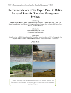 Shoreline management expert panel report