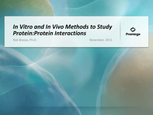 In Vitro and In Vivo Methods to Study Protein:Protein