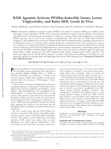 RXR Agonists Activate PPAR -Inducible Genes, Lower Triglycerides