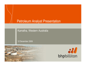 Petroleum Analyst Presentation