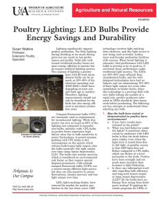 Poultry Lighting: LED Bulbs Provide Energy Savings