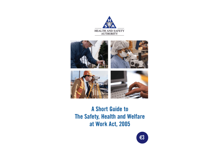 A Short Guide To The Safety Health And Welfare At Work Act 2005