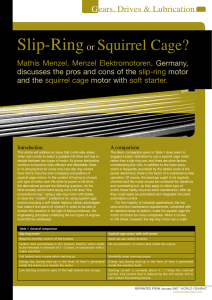 Slip-Ringor Squirrel Cage?