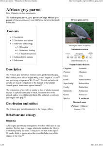 African grey parrot - Wikipedia, the free encyclopedia