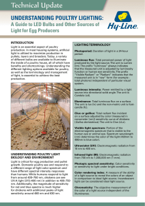 Understanding Poultry Lighting - Hy