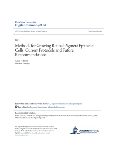 Methods for Growing Retinal Pigment Epithelial Cells: Current