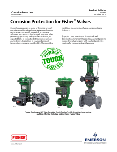 Corrosion Protection for Fisher Valves