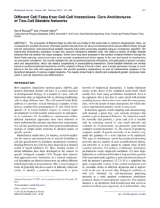 Different Cell Fates from Cell-Cell Interactions