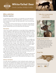 whitetaildeer072309:Layout 1 - North Carolina Wildlife Resources
