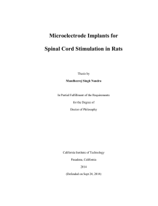 Microelectrode Implants for Spinal Cord Stimulation in Rats