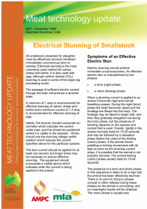Electrical Stunning of Smallstock