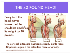 the 42 pound head!