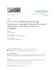 P2Y12 or P2Y1 inhibitors reduce platelet deposition in a microfluidic