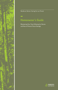 Homeowner`s Guide