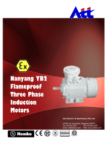 Nanyang YB2 Flameproof Three Phase Induction Motors