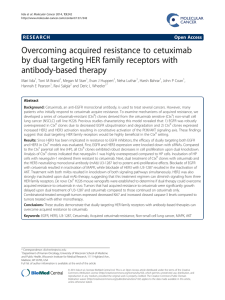 Overcoming acquired resistance to cetuximab by dual targeting HER