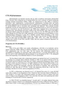 CTX-M β-lactamases