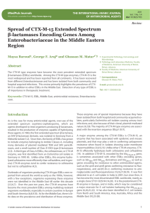 Spread of CTX-M-15 Extended Spectrum β-lactamases