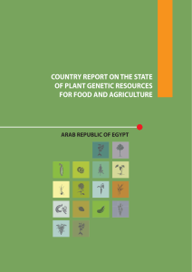 Egypt - Food and Agriculture Organization of the United Nations