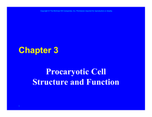 Procaryotic Cell Structure and Function