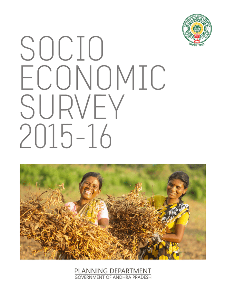socio economic survey research paper