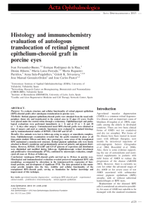 Histology and immunochemistry evaluation of autologous