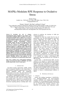 MAPKs Modulate RPE Response to Oxidative Stress