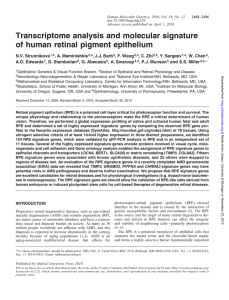 Transcriptome analysis and molecular signature of human retinal