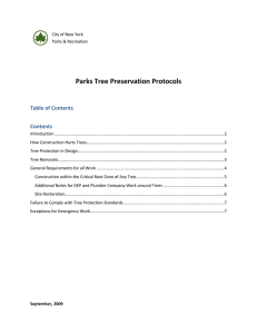 NYC Parks and Recreation: Parks Tree Preservation Protocols