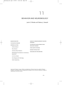 behavior and neurobiology