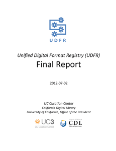 UDFR Final Report