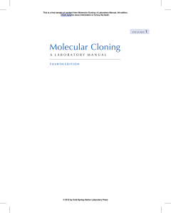 Molecular Cloning: a Laboratory Manual