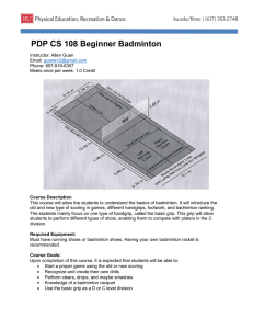 PDP CS 108 Beginner Badminton