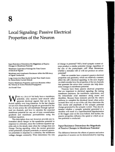 Local Signaling: Passive Electrical Properties of the Neuron
