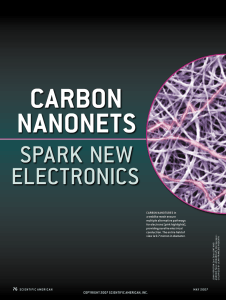 Carbon Nanonets Spark New Electronics