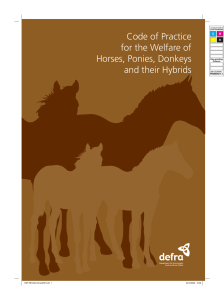 Code of Practice for the Welfare of Horses, Ponies, Donkeys