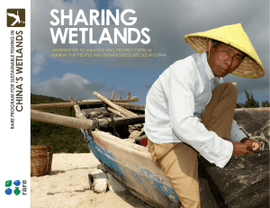 sharing wetlands